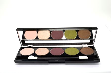 Picture of Empty 5-well Eyeshadow Palette