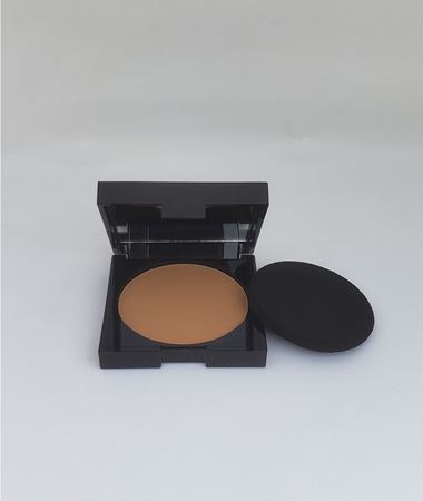 Picture of C10 Dry2Wet  Powder Foundation (new package)